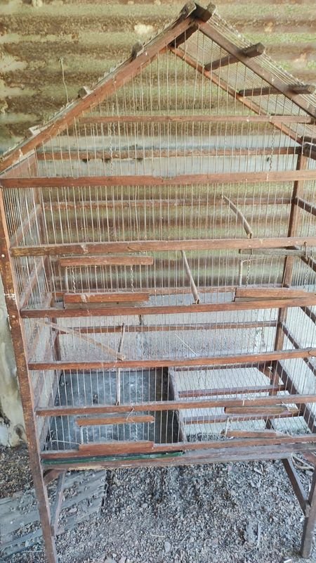 Item 869945 - Image 4