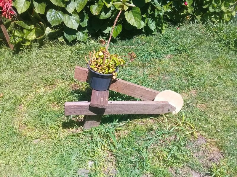 Maceta de jardín estilo carretilla en madera - imagen 4