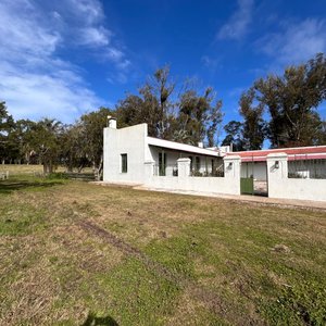 Lote de Campo con Galpones y Casa Principal - imagen 6