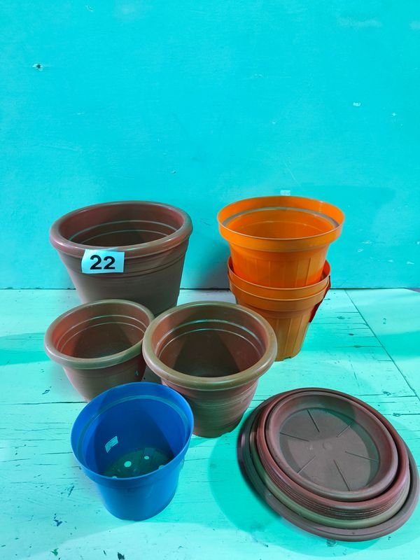 Colección de Macetas C/ Plato - imagen 3