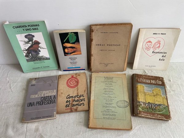 Lote de Libros de Poesía: El Poema del Cid, Alfonsina Storni y más - imagen 1