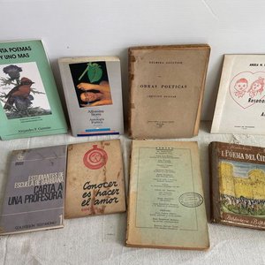 Lote de Libros de Poesía: El Poema del Cid, Alfonsina Storni y más - imagen 1