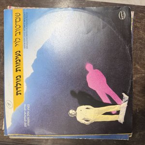 Lote de 12 Discos de Vinilo de Colección - Variedad de Artistas y Estilos - imagen 8