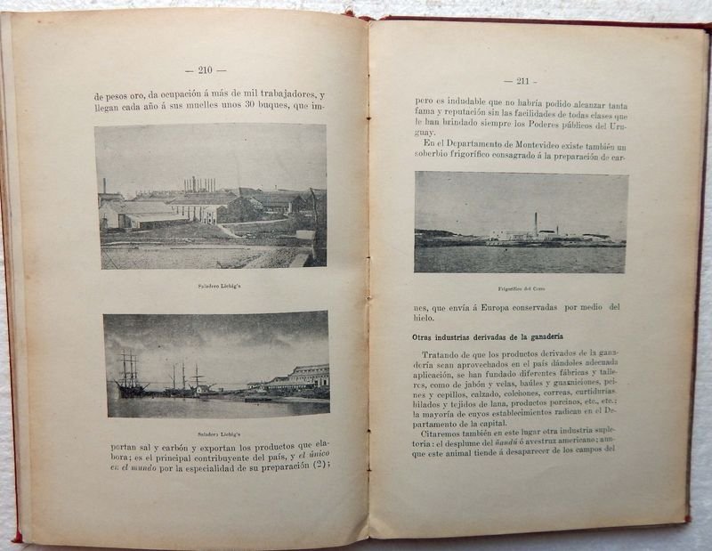 Item 853821 - Image 6