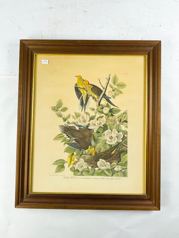 Cuadro de Flores y Aves, Grabado a Color, Marco de Madera