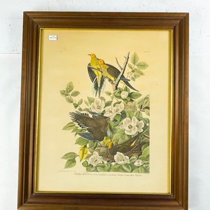 Lote anterior: Cuadro de Flores y Aves, Grabado a Color, Marco de Madera