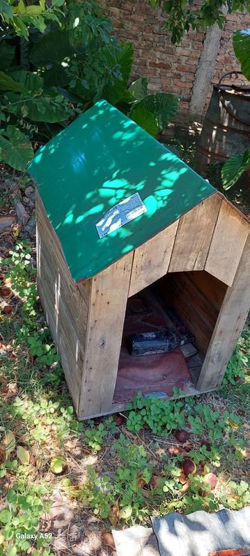 Casa de perro en madera con techo verde - imagen 3