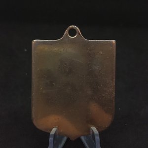 Medalla Escuela de Sanidad Fuerzas Armadas Uruguay 1997 - imagen 3