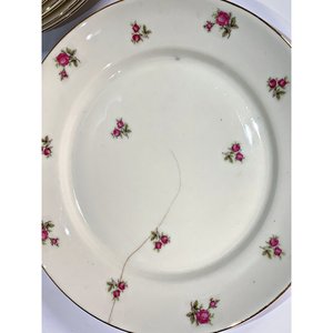 Veintiún Platos de Porcelana Bavaria Beige con Flores - 24 cm - imagen 4