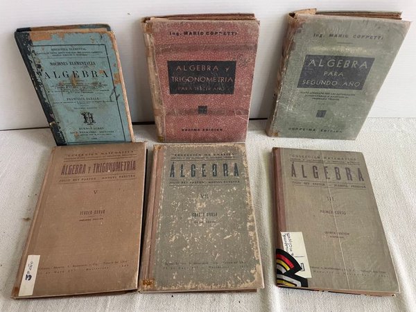 Lote de Libros Didácticos de Álgebra