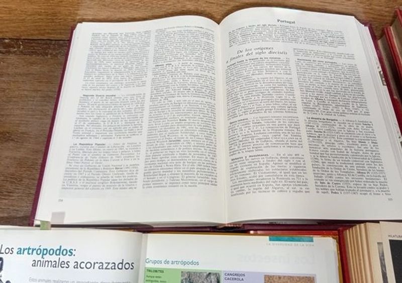 Enciclopedias LAROUSSE en Excelente Estado - imagen 3