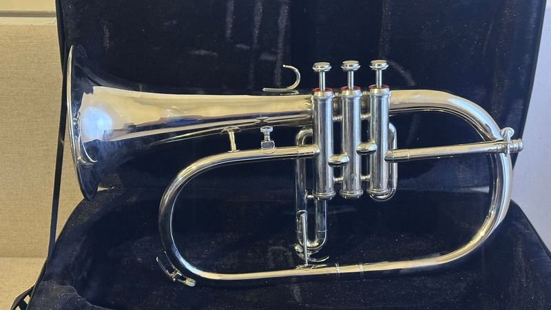 Fliscorno con estuche de música - imagen 5