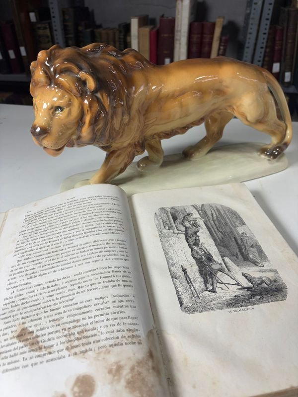 Novela de Alejandro Dumas, El Paje del Duque de Saboya 1862 en Español - imagen 4