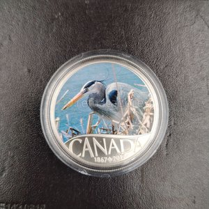 Moneda de Plata Canadiense "Great Blue Heron" 2017 - 10 Dólares - imagen 9