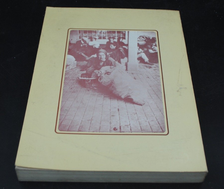 Libro de inmigración y estadísticas en el Cono Sur de América - imagen 3