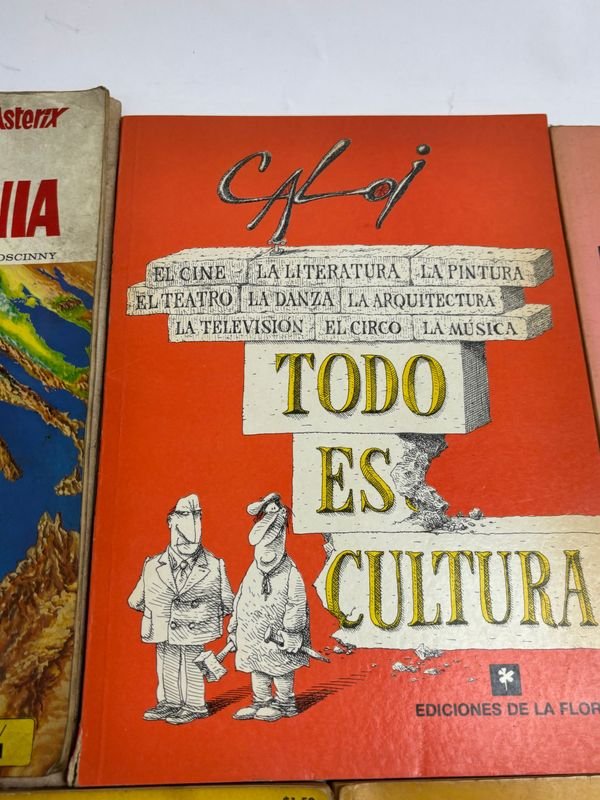 Colección de libros de Asterix, Mafalda y Peanuts - imagen 6