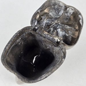 Manual de Anestesia Local en Odontología y Molde Dental - imagen 4