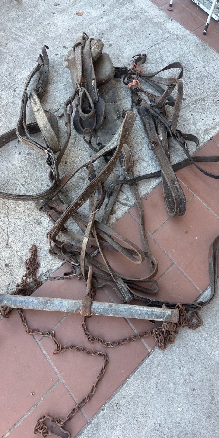 Item 63192 - Image 0