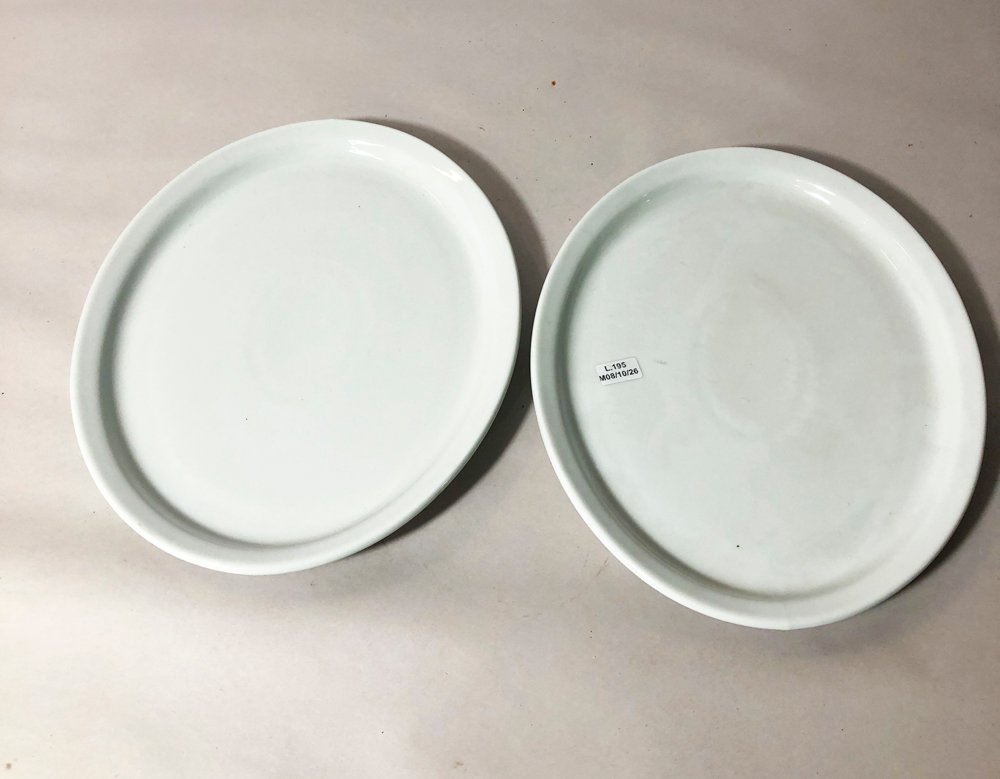 Dos Fuentes Ovales de Porcelana Schmidt