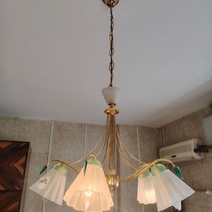Lámpara Colgante de Bronce con 5 Tulipanes de Vidrio - imagen 3