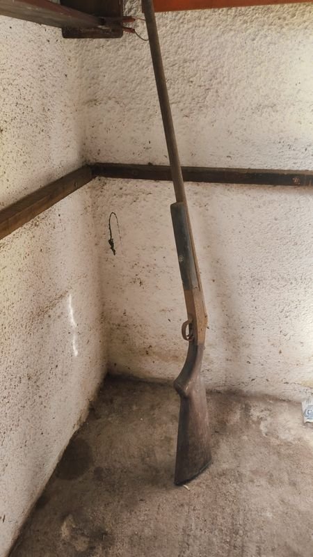 Item 869940 - Image 2