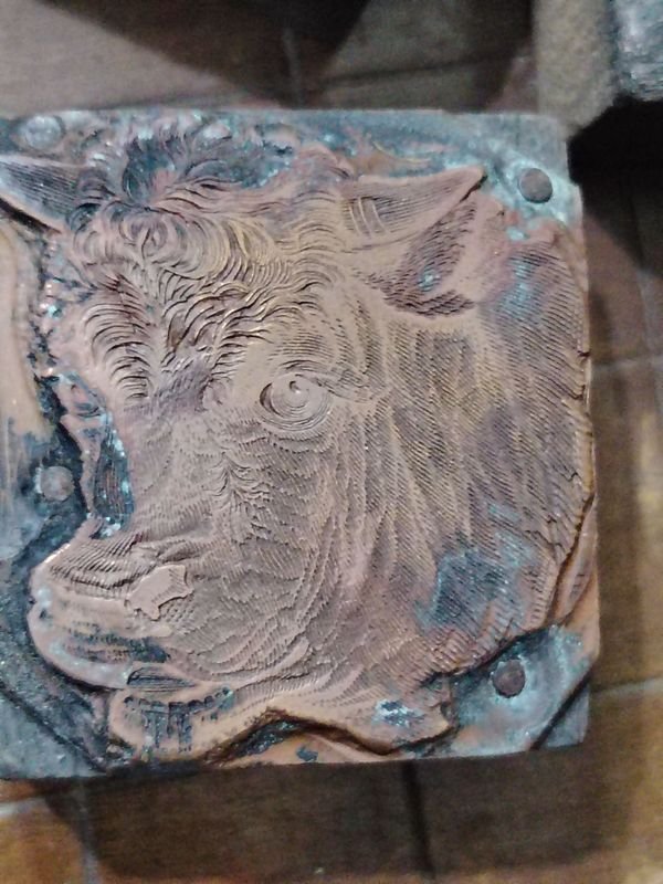 Item 925336 - Image 16