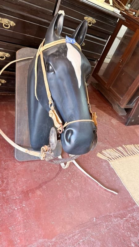 Caballo de Cabeza con Freno y Riendas - imagen 7