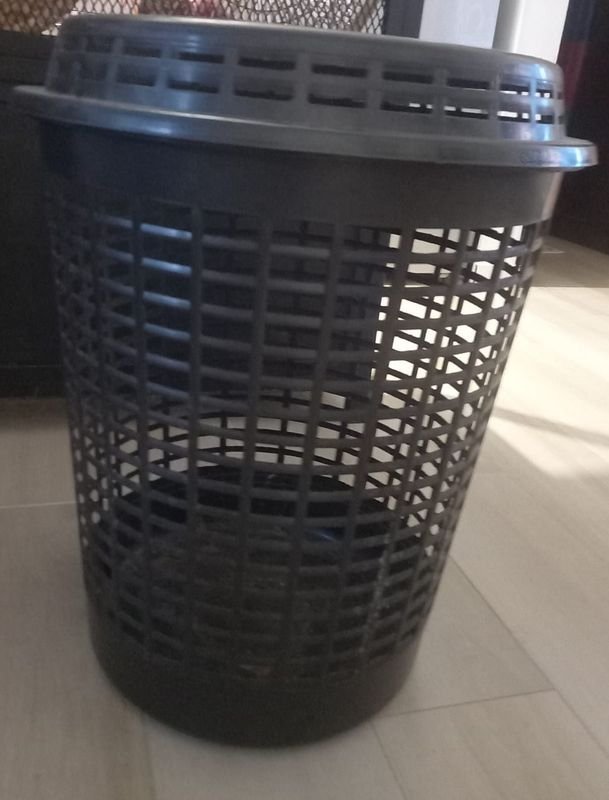 Item 882728 - Image 1