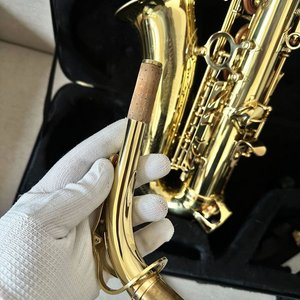 Saxofón Alabama Dorado con Estuche - imagen 10