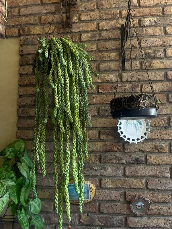 Item 867619 - Image 3