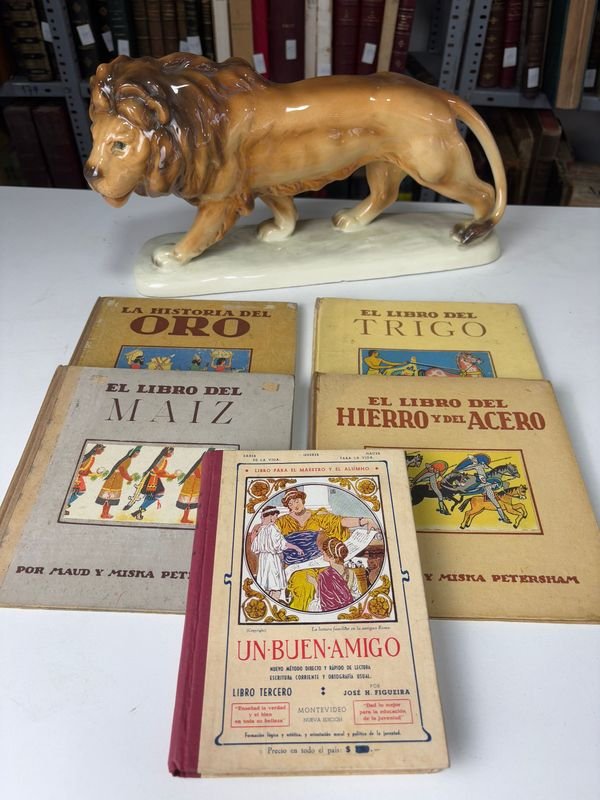 Lote siguiente: Colección de Libros Educativos Ilustrados