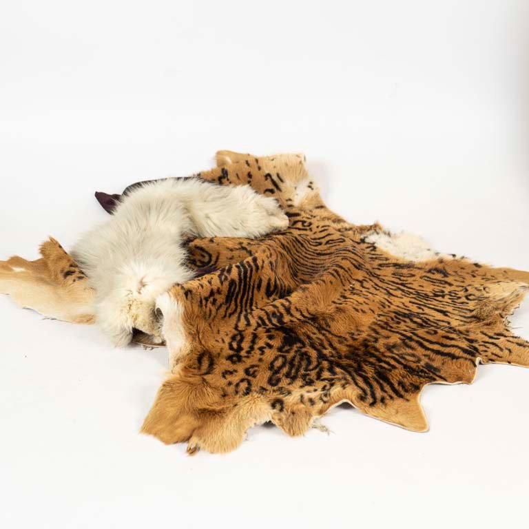 Item 2103533 - Image 0