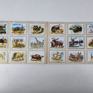 Álbum de Figuritas Vida y Color 1967 Completo - imagen 8
