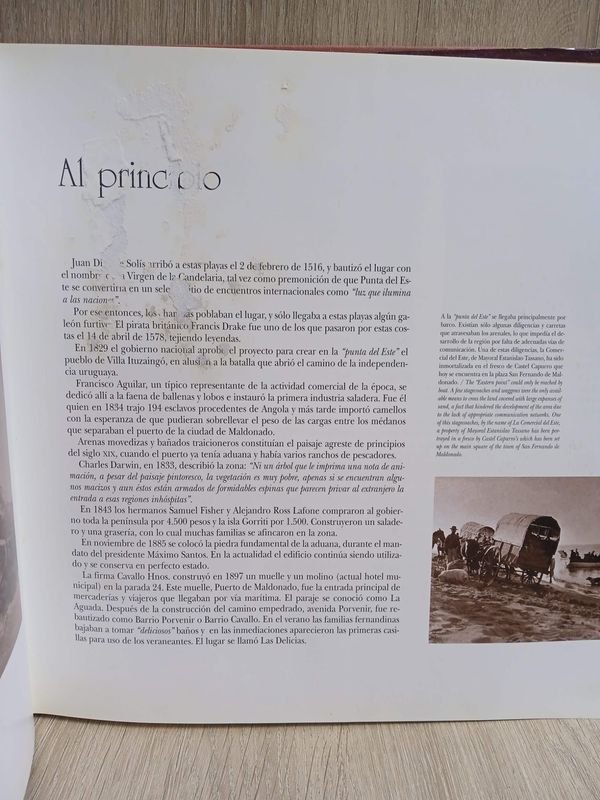 Item 883812 - Image 2