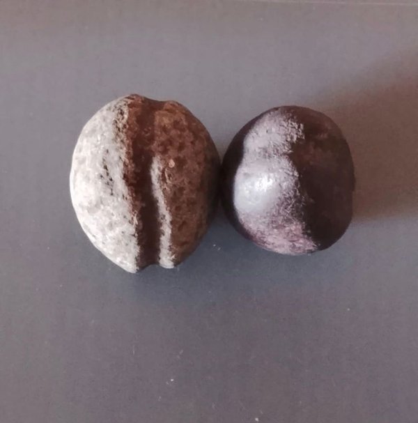 Par de Boleadoras Arrojadizas Pequeñas para Caza - imagen 1