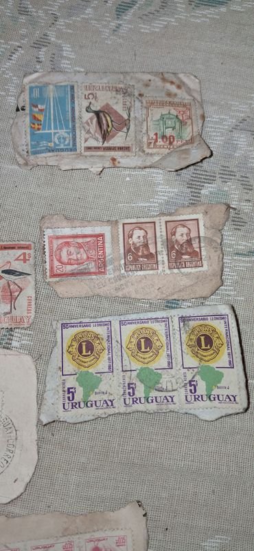 Item 880833 - Image 10