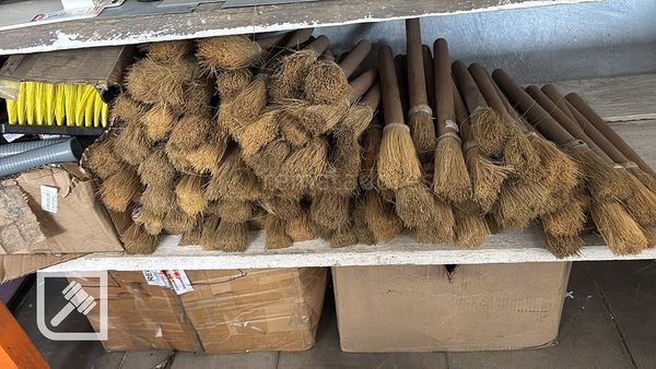 Lote de Escobas de Pelo Natural