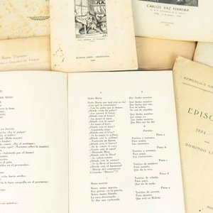 Lote de 9 Librillos Temáticos Varios - imagen 2