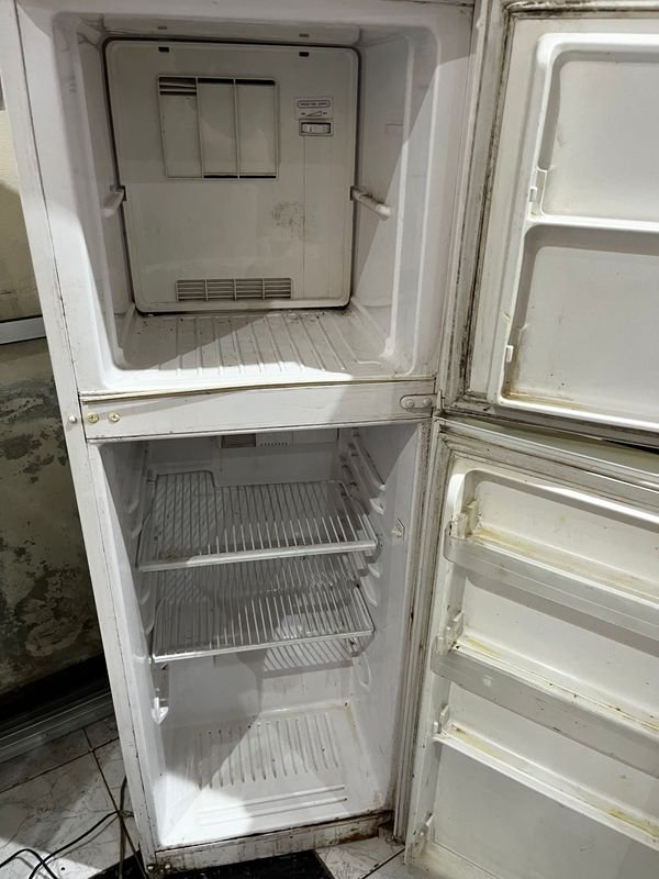 Item 891124 - Image 2