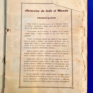 Álbum de Figuritas "Animales de Todo el Mundo" - Colección Fher - imagen 2