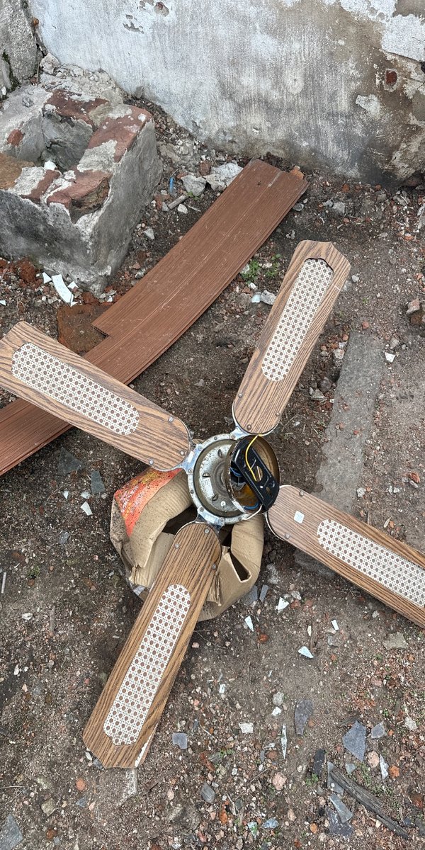Ventilador de Techo con Aspas de Madera