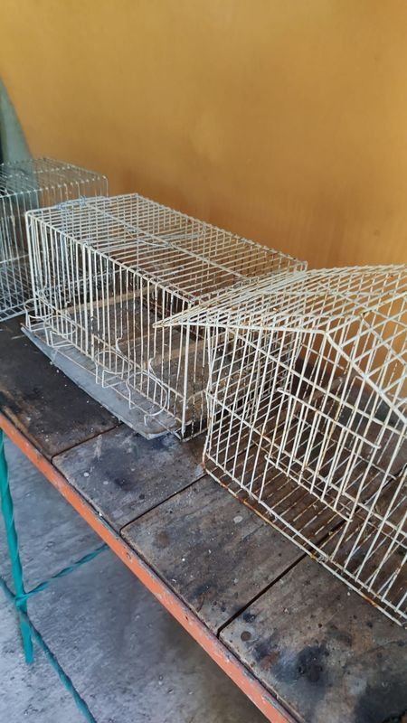 Lotes de Jaulas para Animales - imagen 2