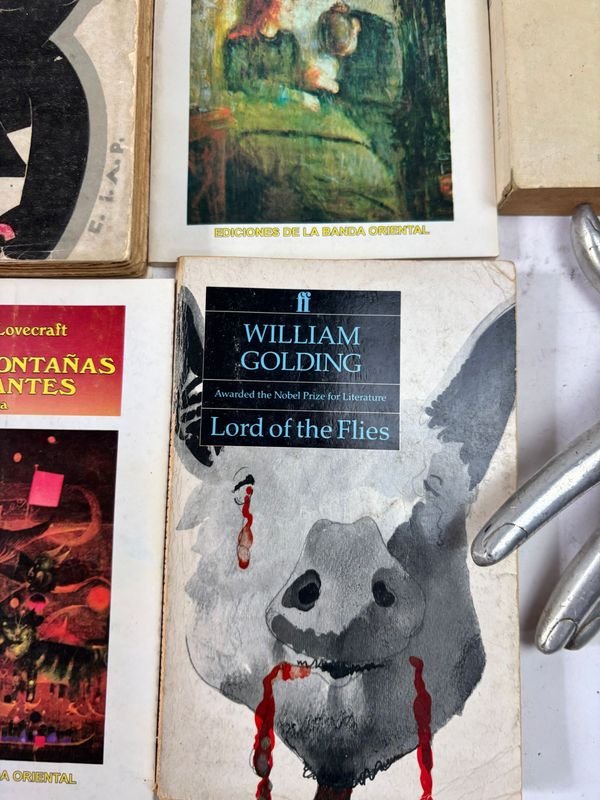 Colección de libros clásicos y fantásticos en español - imagen 9