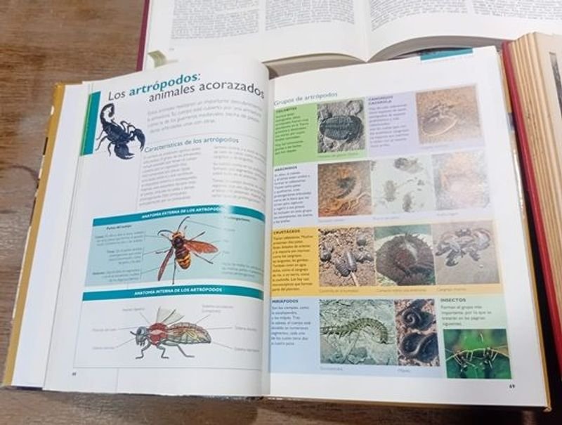 Enciclopedias LAROUSSE en Excelente Estado - imagen 5