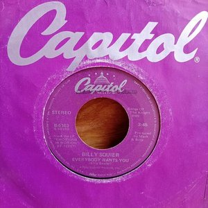 Lote siguiente: Disco Simple Vinilo Billy Squier - Everybody Wants You (1982)