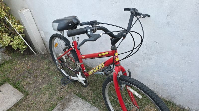 Item 881003 - Image 4