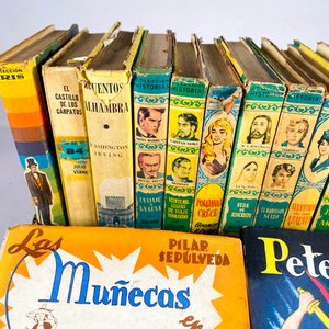 Lote de Libros de Cuentos y Novelas Clásicas - imagen 3
