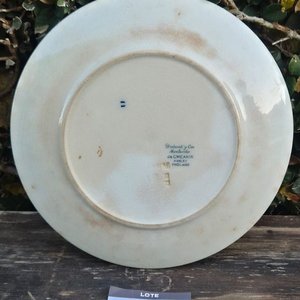 Plato Conmemorativo "Vistas de Montevideo Antiguo" - J & G Meaking - imagen 2