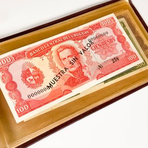 Álbum con Billetes del Banco Central del Uruguay - imagen 4