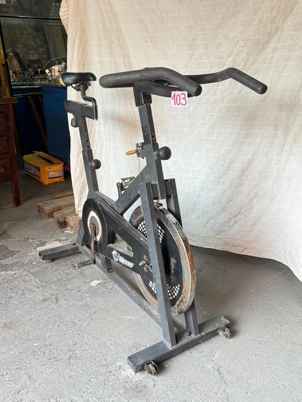 Lote anterior: Bicicleta de Ejercicio en Venta